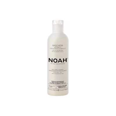 NOAH Antioxidant With Vaccinium Corymbosum Extract Hair Masks Smoothing Color Protection After Dyeing 250ml
