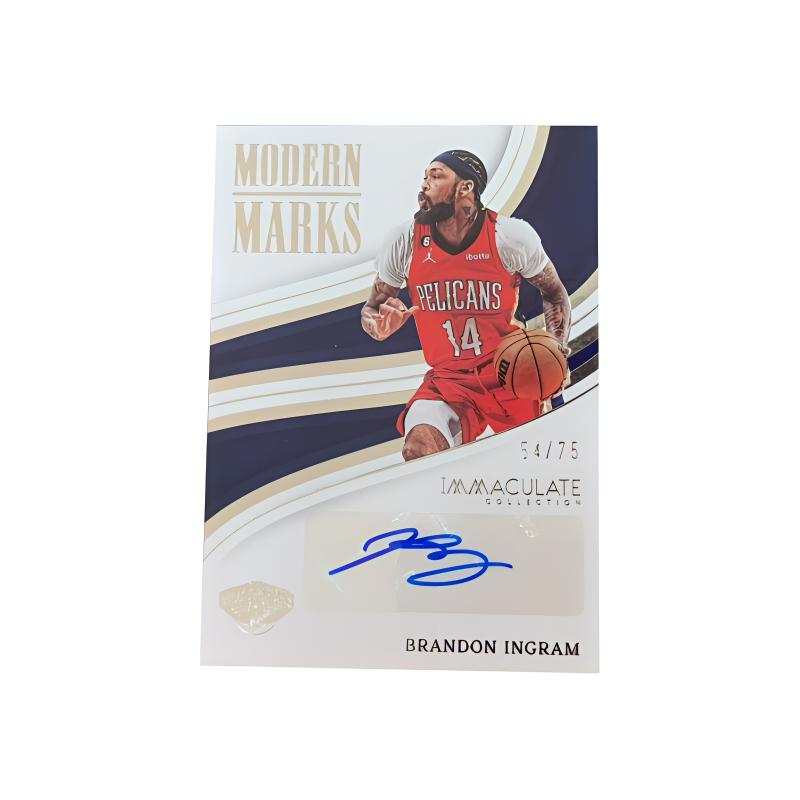 PANINI NBA Player Character Brandon, Ingram, Star Card, Card Pass Sports Cards 1 Pc