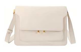 MARNI Trunk Calfskin Crossbody Bag, Shoulder Bag Medium Women's White
