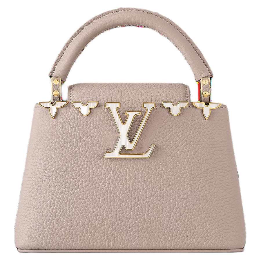 LOUIS VUITTON Lv None