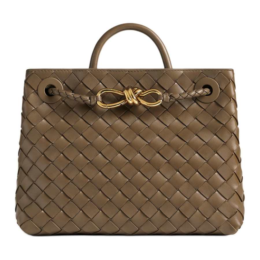 Bottega Veneta Andiamo Small Tote Bag