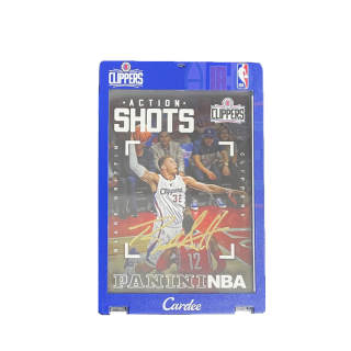 PANINI Sports Cards