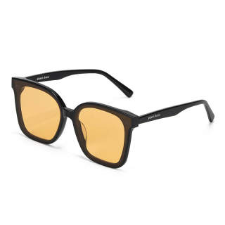 PLASTIC BRAIN Plate Sunglasses Unisex