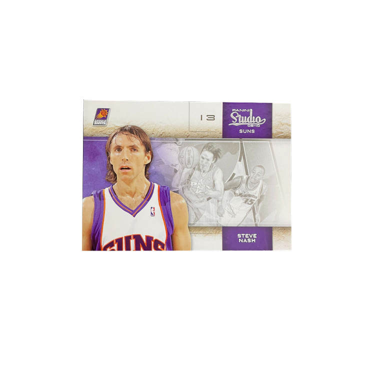 PANINI 2010 Sun, Stephen Nash, Teka, Wind Son, Player Cards, Card Collection Pass Sports Cards 1 Pc