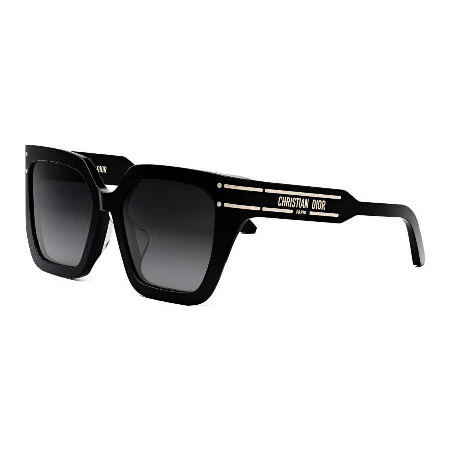 DIOR DIOR Butterfly Sunglasses Men's Black