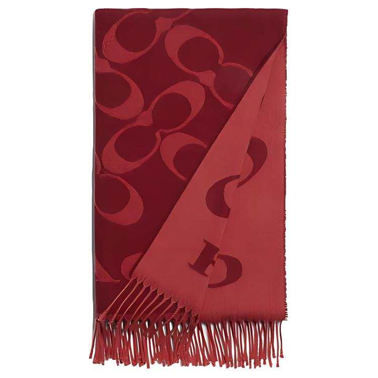 COACH COACH Knit Scarves Women's