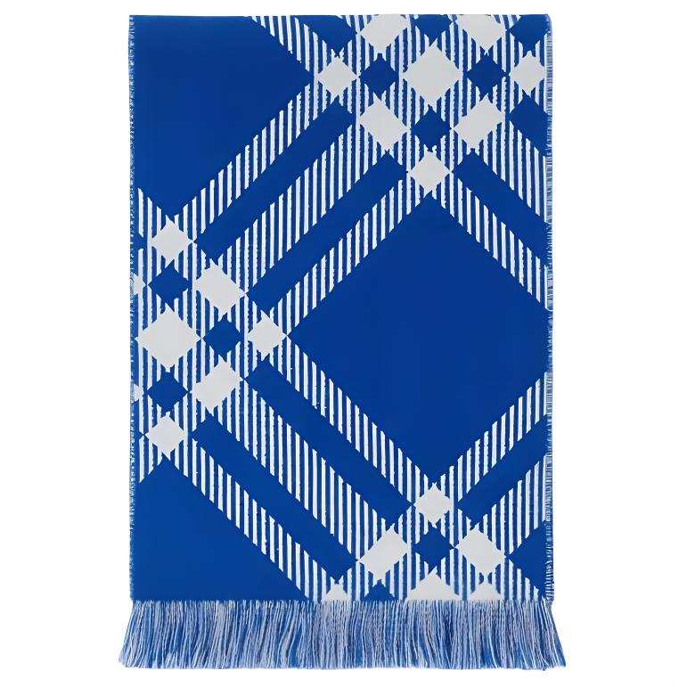 Burberry 【Previous Season】check-print wool scarf