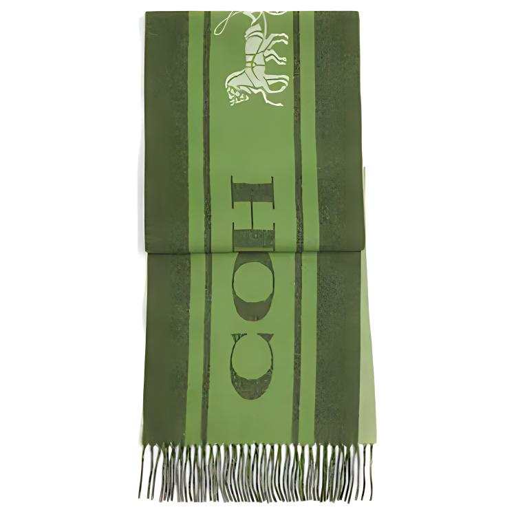 COACH COACH Wool Knit Scarves Unisex Green