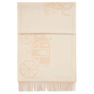 COACH Patterned Print Cashmere Knit Scarves Unisex Beige