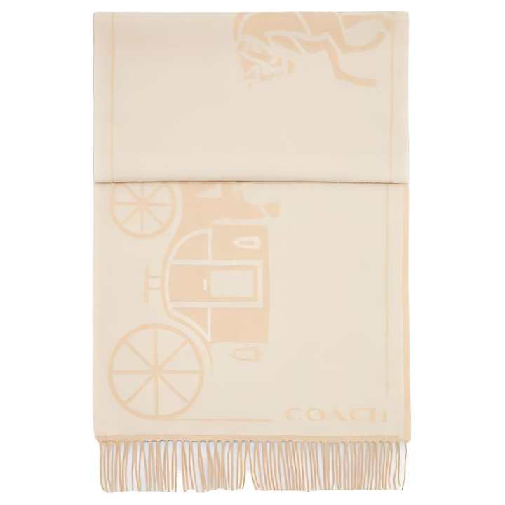 COACH COACH Patterned Print Cashmere Knit Scarves Unisex Beige