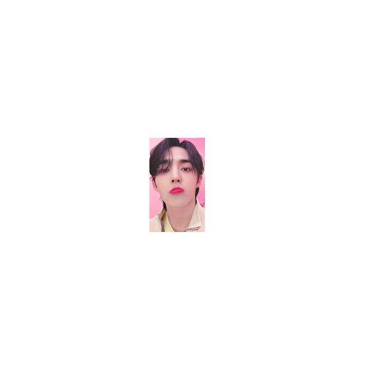 HYBE SEVENTEEN ALWAYS YOURS Global Exclusive Benefits Photocards 1 Pc