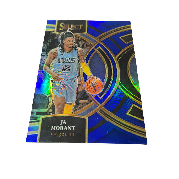 PANINI Sports Cards