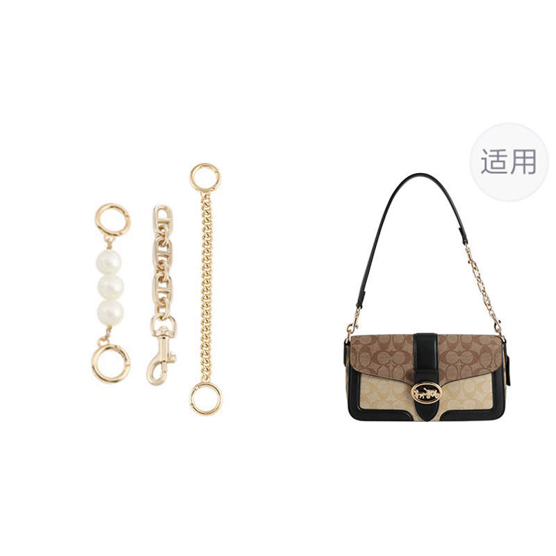 Luxury Care Artisan Workshop Metal Bag Straps Women's Gold tone