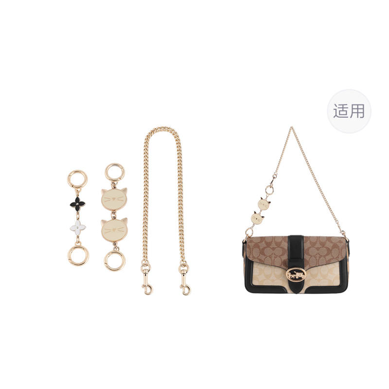 Luxury Care Artisan Workshop Metal Bag Straps Women's Gold tone