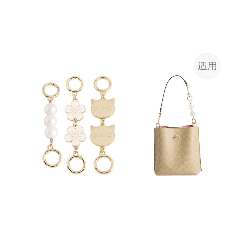 Luxury Care Artisan Workshop Metal Bag Straps Women's Gold tone