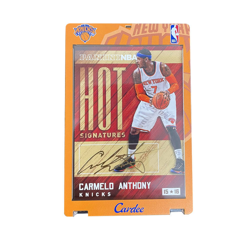 PANINI PANINI 2014 15 Basketball Knicks