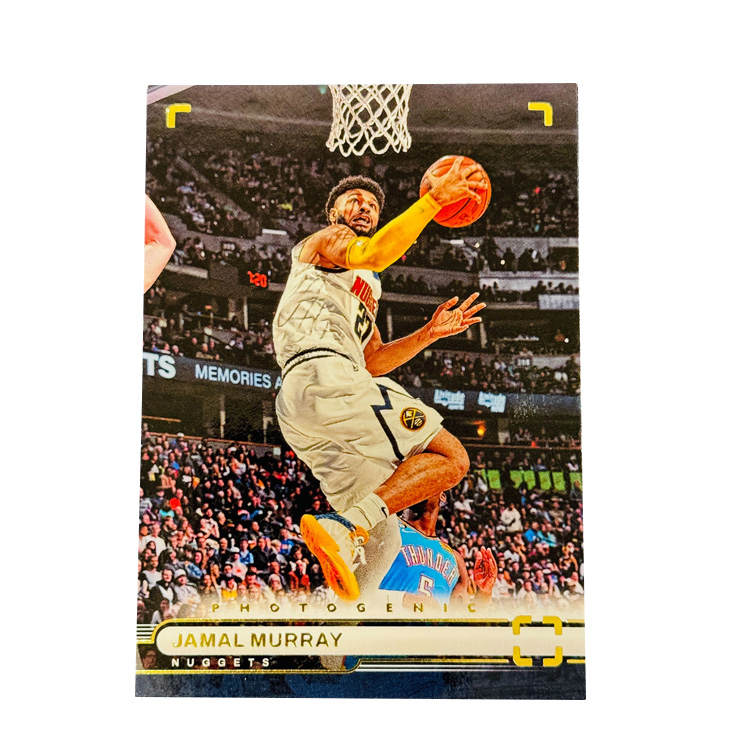 PANINI PANINI Sports Cards