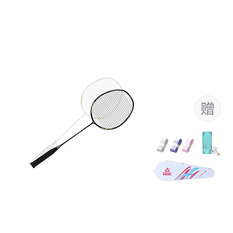 PEAK PEAK Full Carbon Badminton Rackets Control Type All around Defense Advanced Level Unisex 4U/G5