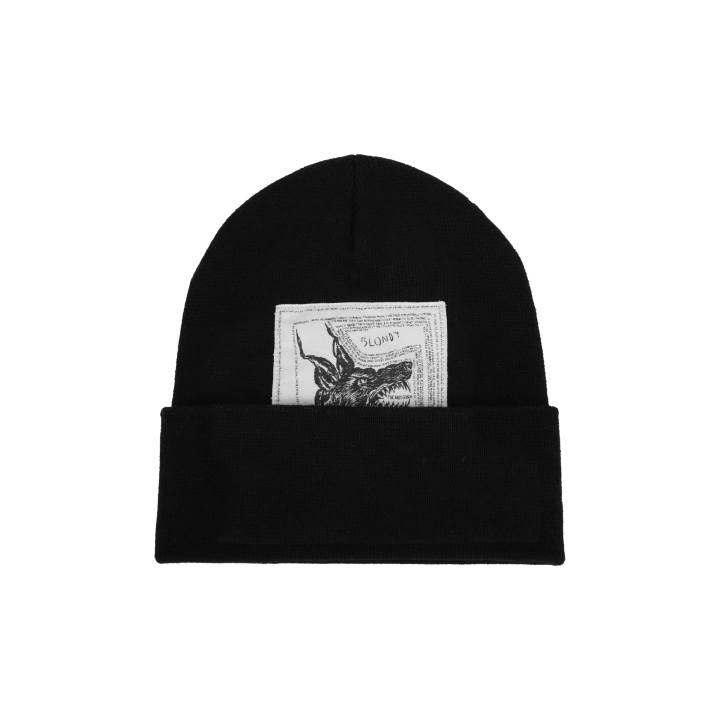 Supreme Supreme x The North Face beanie