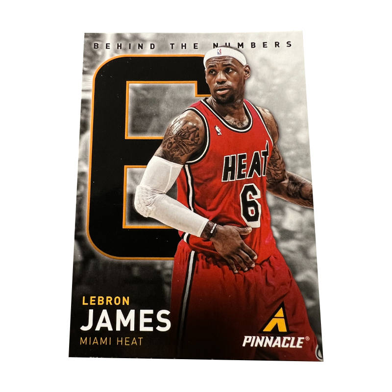 PANINI Heat LeBron James The King Peak Collection High End Selection Player Cards Rare Cards Sports Cards 1 Pc