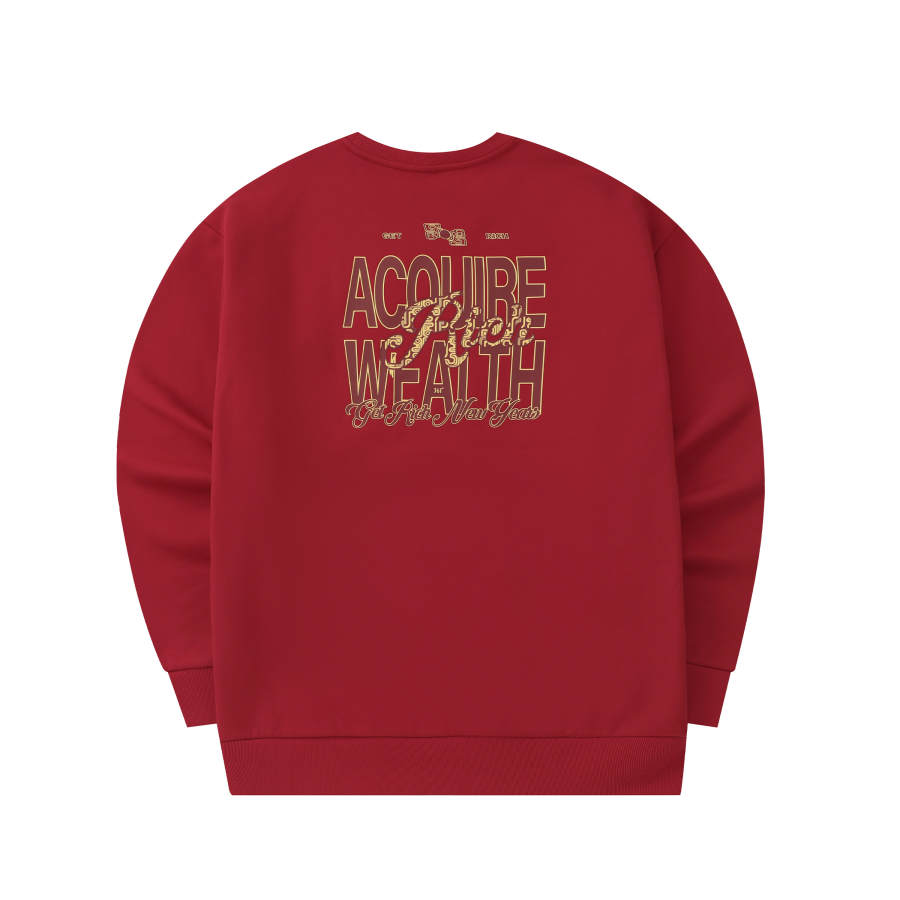 361° SS25 Year Of The Snake Graffiti Letter Thickened And Fleece Lined Pullover Loose Fit Casual Sweatshirt Unisex