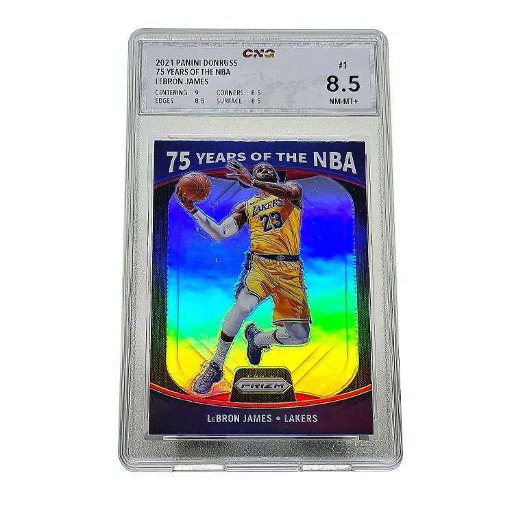 PANINI PANINI Graded Cards