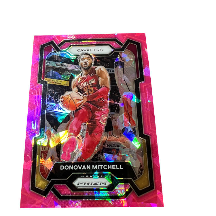 PANINI PANINI Sports Cards