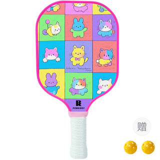 Powkiddy Pickleball Paddles