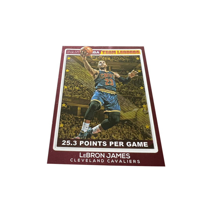 PANINI PANINI Sports Cards
