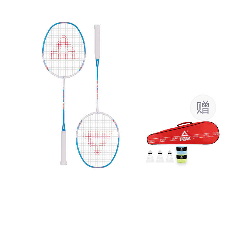 PEAK Full Carbon Badminton Rackets Control Type All around Defense Advanced Level Unisex 4U/G5