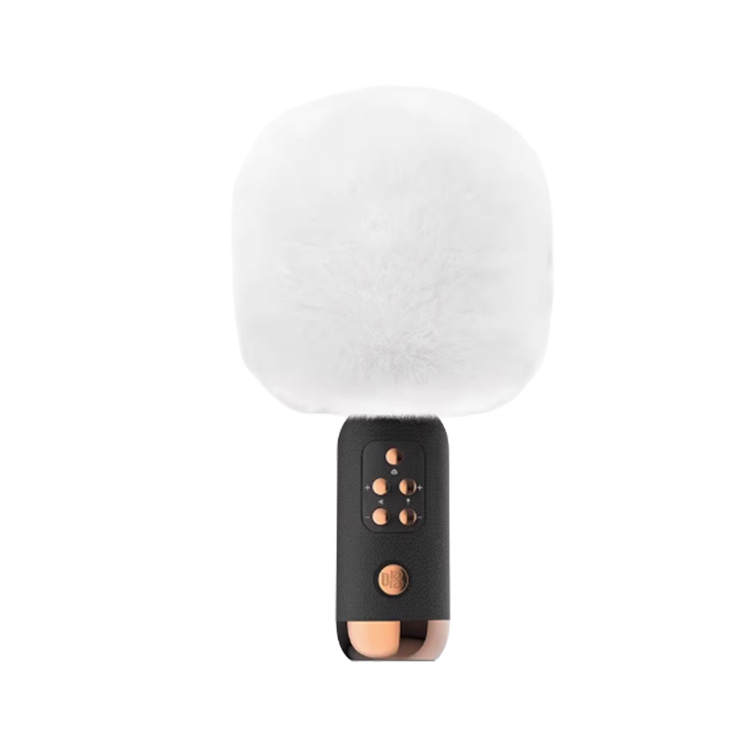 Sing Microphones