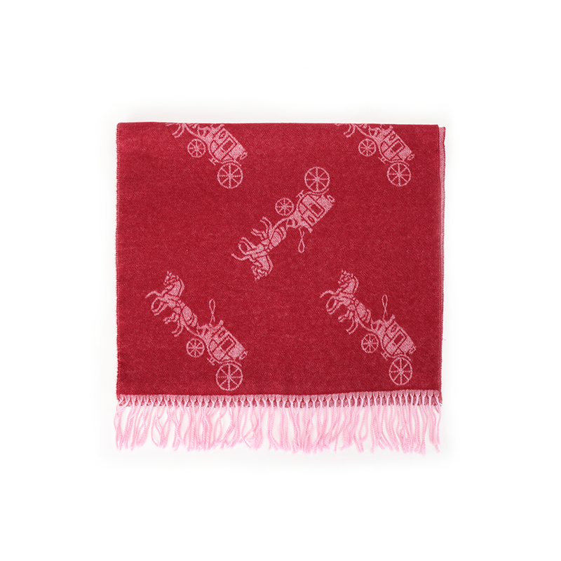 COACH COACH Knit Scarves Unisex