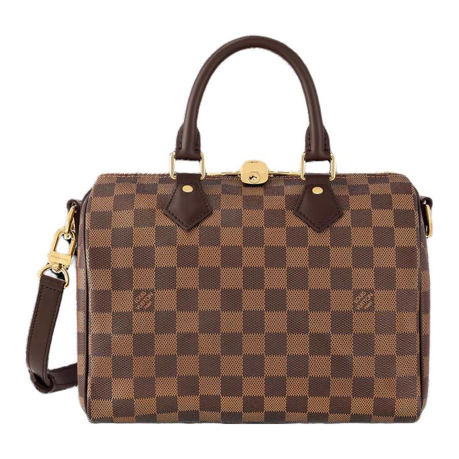 LOUIS VUITTON Lv None