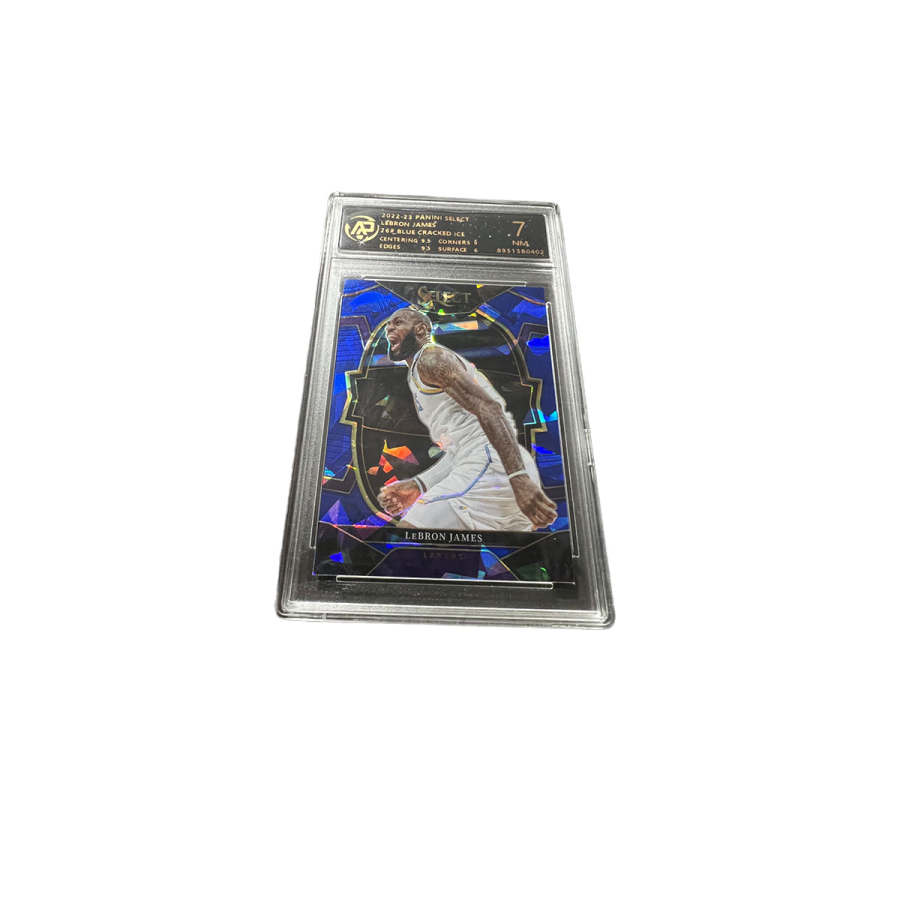 PANINI PANINI Graded Cards