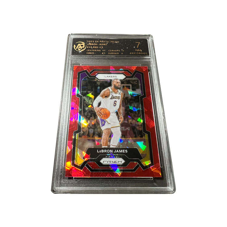 PANINI Graded Cards