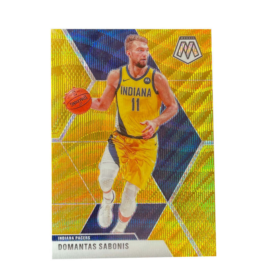 PANINI PANINI Sports Cards