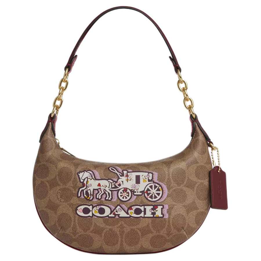 COACH Payton Coated Canvas With Smooth Leather Dumpling Bag Handbag Small Women's Tan & Black Cherry