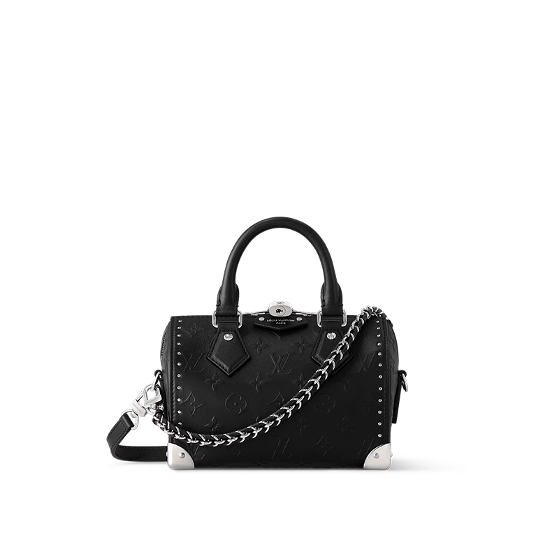 LOUIS VUITTON Lv None