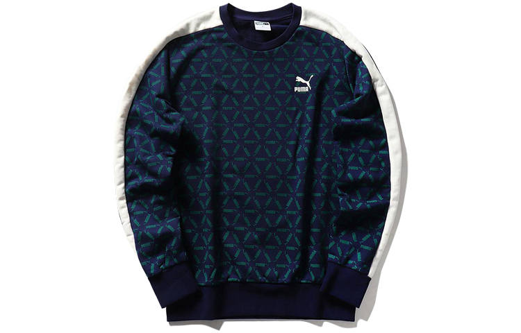PUMA PUMA Sweatshirts Unisex Crew Neck Moderate Regular