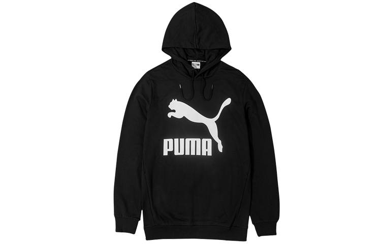 PUMA PUMA Sweatshirts Unisex Hooded Moderate Regular