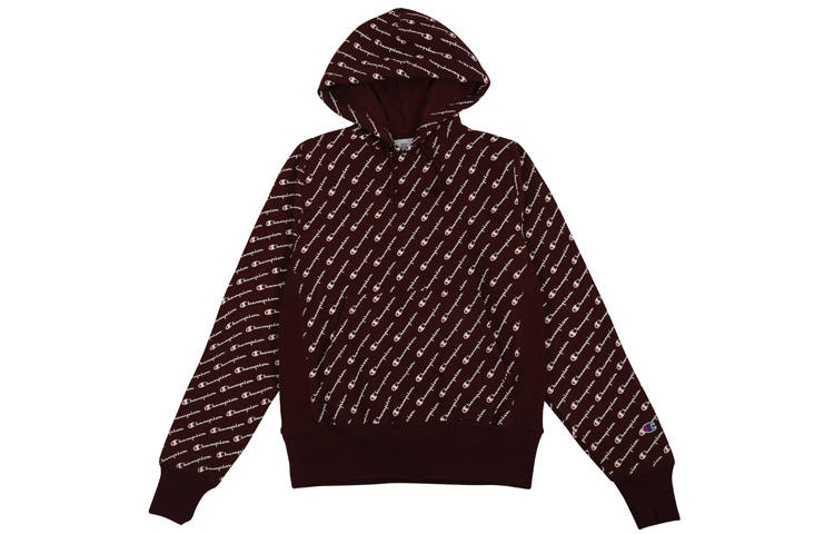 Champion Sweatshirts Unisex Hooded Moderate Regular