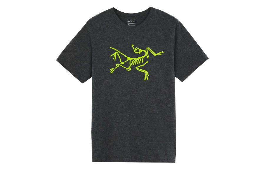 Arcteryx IONIA T Shirts Men's Crew Neck Moderate