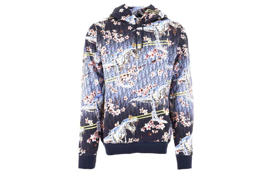 DIOR DIOR Sweatshirt Men's Multicolor