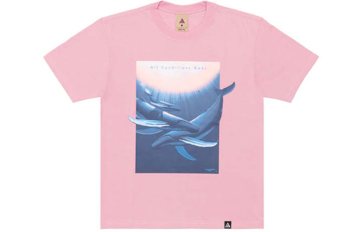 Nike Nike ACG Drop Shoulder Sleeve T-Shirt Men's Pink