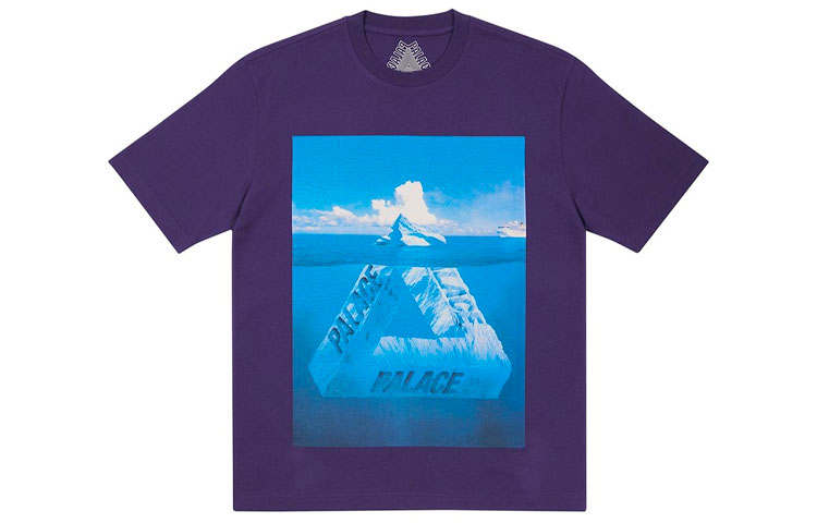 PALACE Berg Ferg T shirt