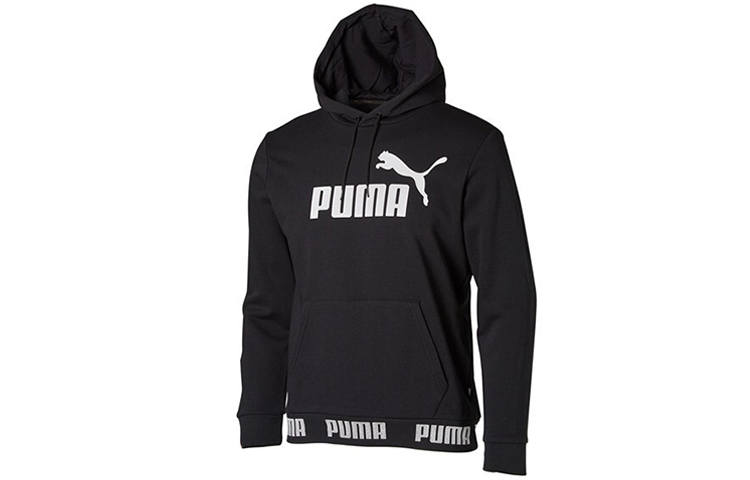 PUMA Puma Amplified hoodie