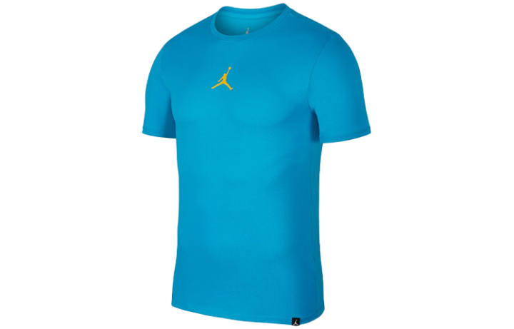 Jordan Jordan T Shirts Men's Blue Crew Neck Moderate Straight Fit