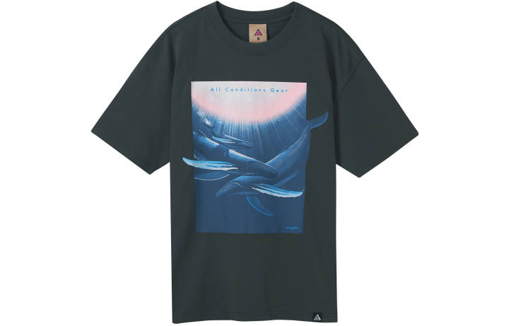 Nike Nike ACG T-Shirt Men's Black Gray Color