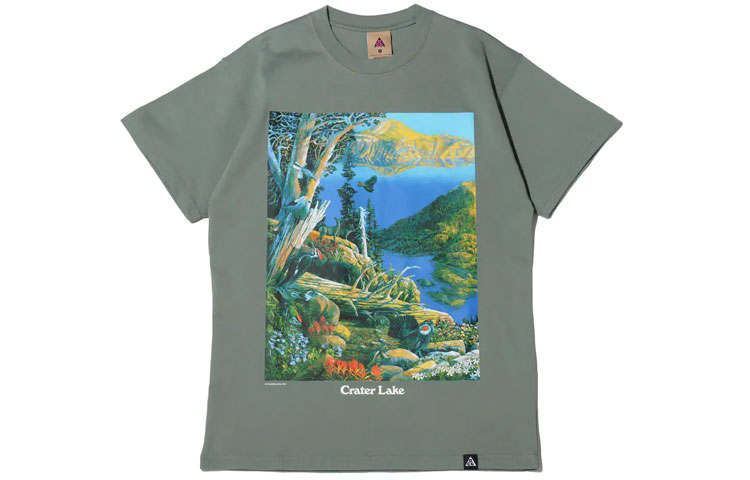 Nike Nike ACG T Shirts Men's Green Crew Neck Moderate Straight Fit
