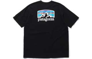 Patagonia Fitz Roy Horizons T Shirt Men's